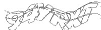 Check code